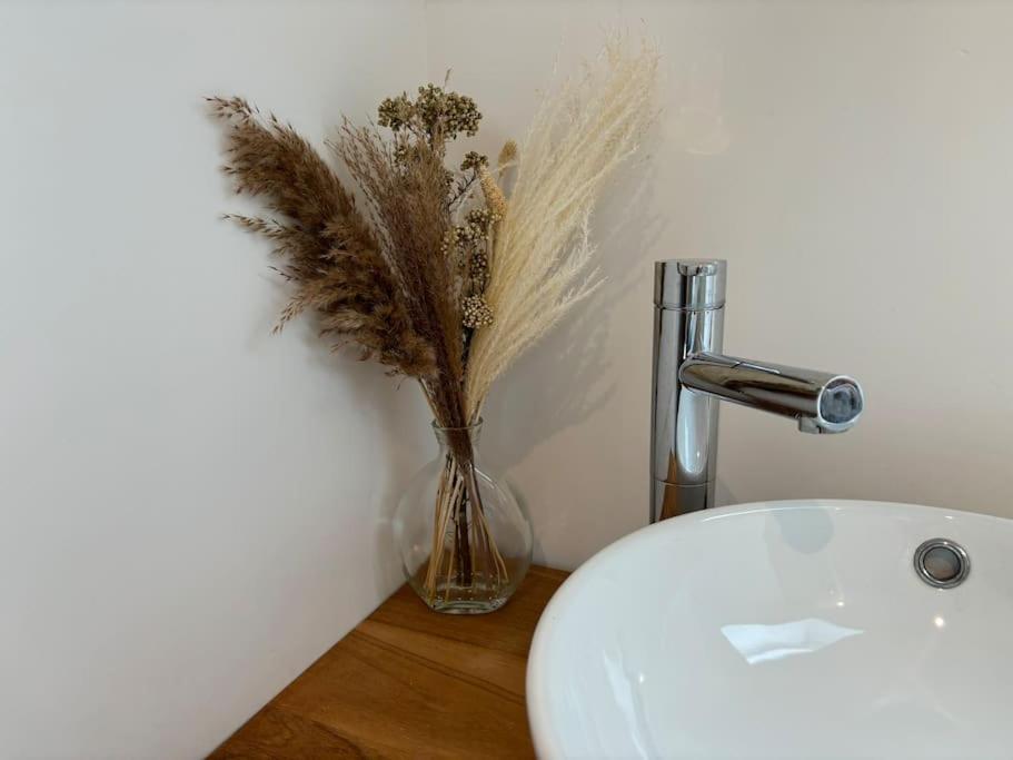 Thistledown Lodge - Devon North Tawton Esterno foto